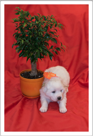 Capture One Session0363